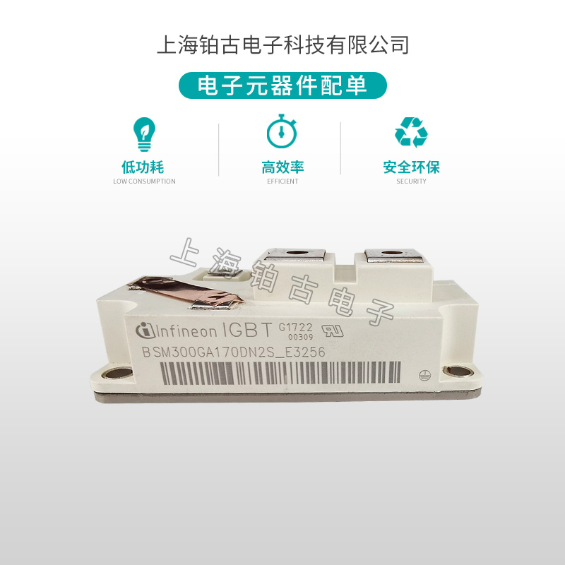 BSM300GA170DN2S_E3256(图1)