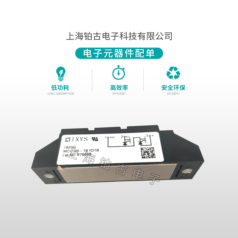 MCC95-16I01B(图1)