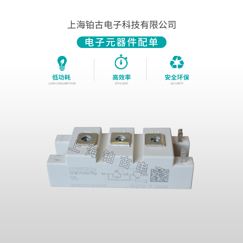 SKM100GB123D(图1)