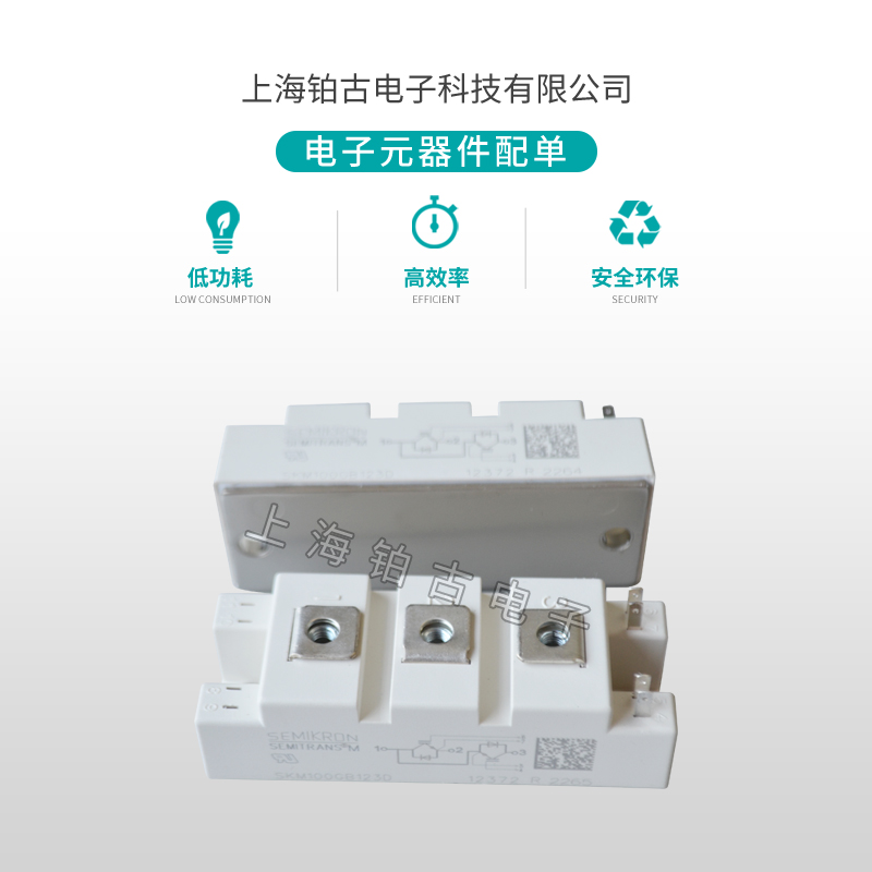 SKM100GB123D(图3)