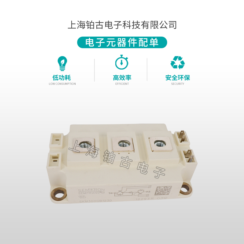 SKM300GB123D(图1)