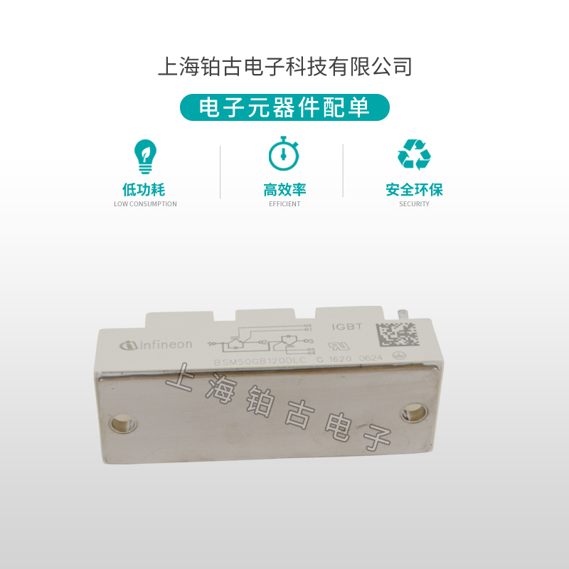 BSM50GB 120DLC(图3)