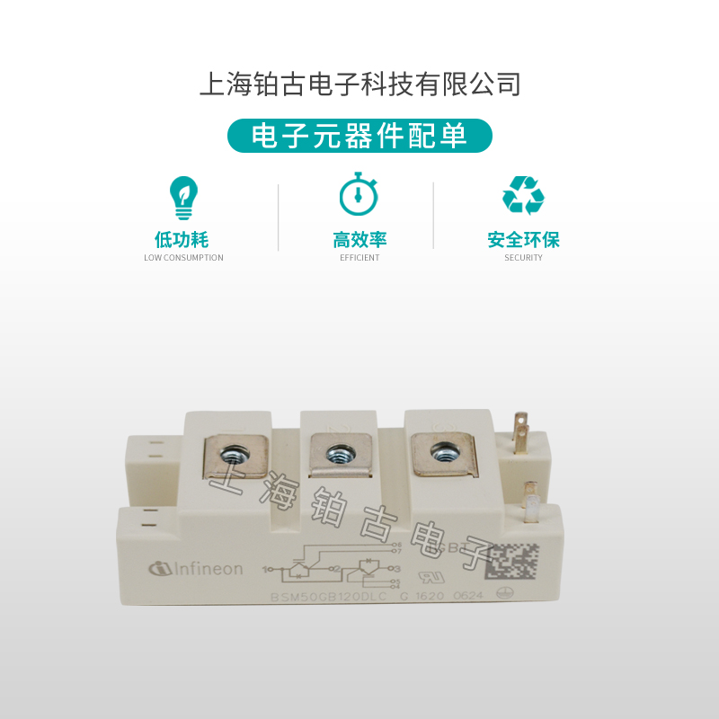 BSM50GB 120DLC(图2)