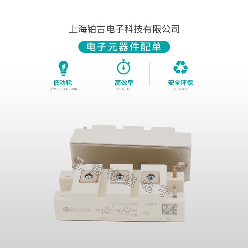 BSM50GB 120DN2(图1)