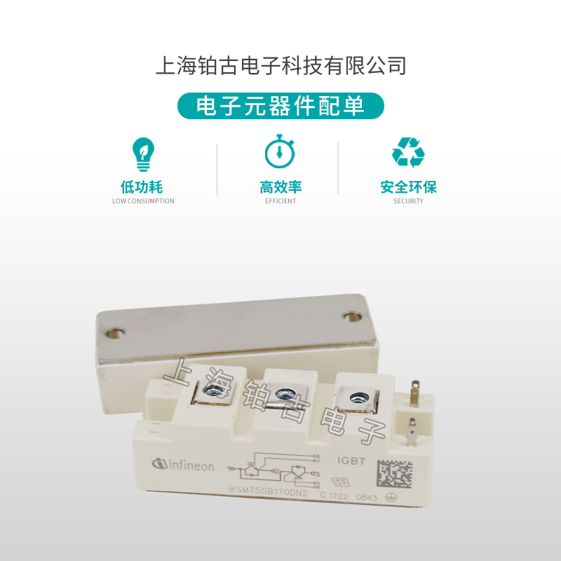 BSM75GB 170DN2(图3)