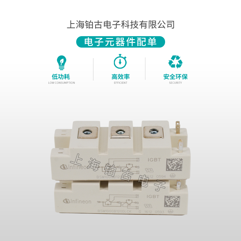 BSM100GB 120DLCK(图2)