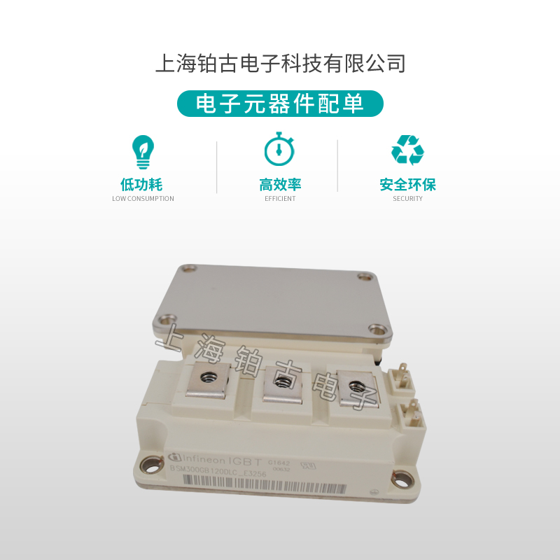 BSM300GB 120DLC(图2)