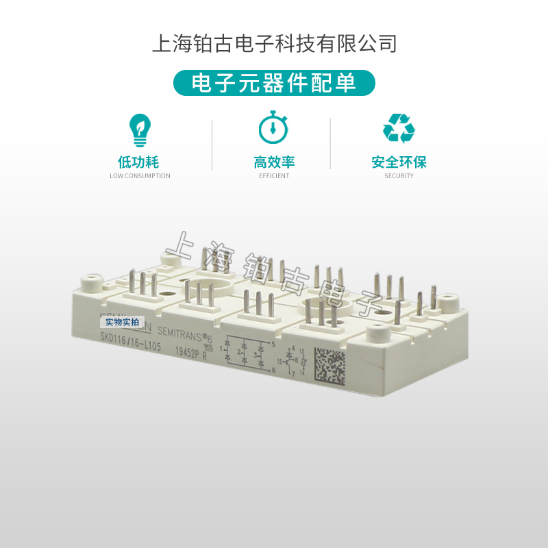 SKD116-16-L105(图1)